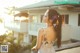 A woman with a flower in her hair standing on a balcony.